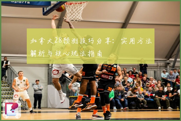 加拿大28预测技巧分享:实用方法解析与核心玩法指南