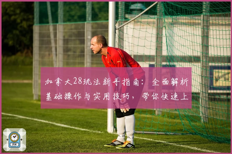 加拿大28玩法新手指南:全面解析基础操作与实用技巧,带你快速上手