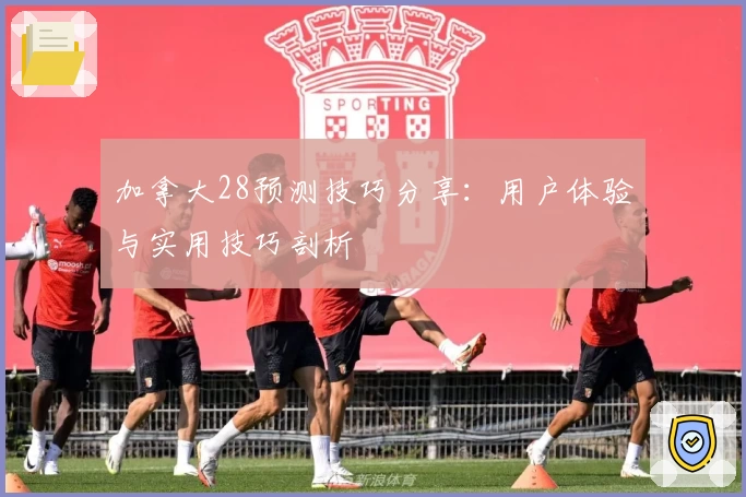 加拿大28预测技巧分享：用户体验与实用技巧剖析