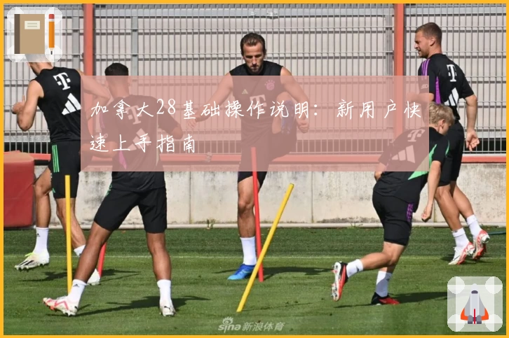 加拿大28基础操作说明：新用户快速上手指南