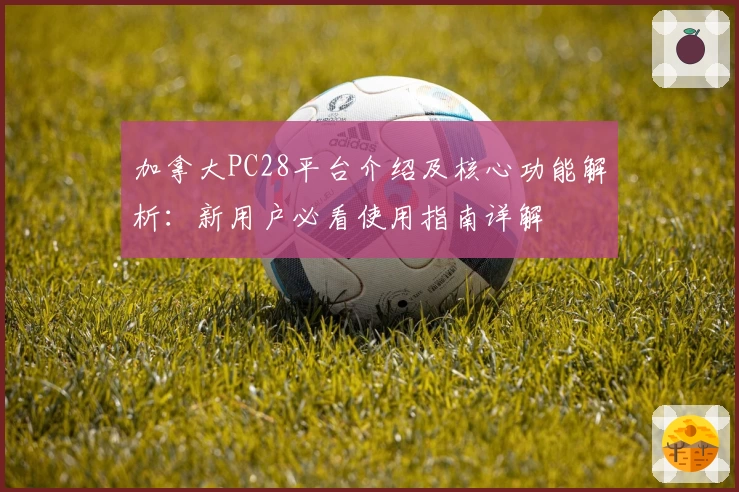 加拿大PC28平台介绍及核心功能解析：新用户必看使用指南详解
