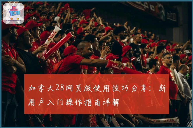加拿大28网页版使用技巧分享：新用户入门操作指南详解