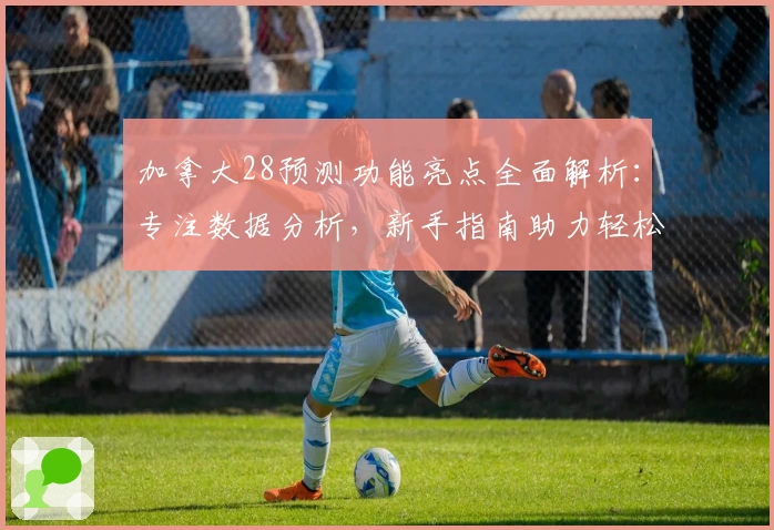 加拿大28预测功能亮点全面解析：专注数据分析，新手指南助力轻松上手