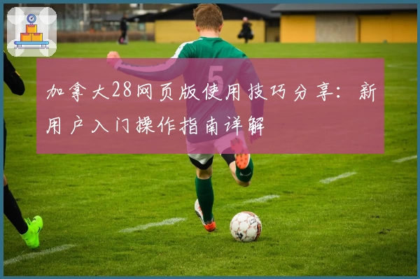 加拿大28网页版使用技巧分享：新用户入门操作指南详解