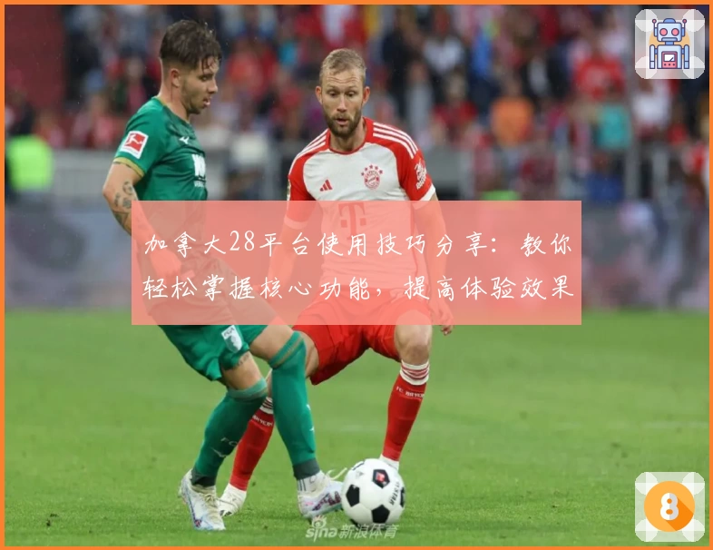 加拿大28平台使用技巧分享：教你轻松掌握核心功能，提高体验效果