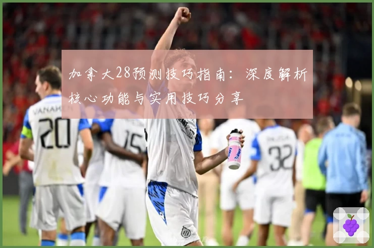 加拿大28预测技巧指南:深度解析核心功能与实用技巧分享