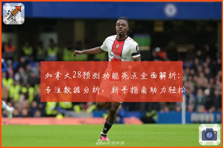 加拿大28预测功能亮点全面解析:专注数据分析,新手指南助力轻松上手