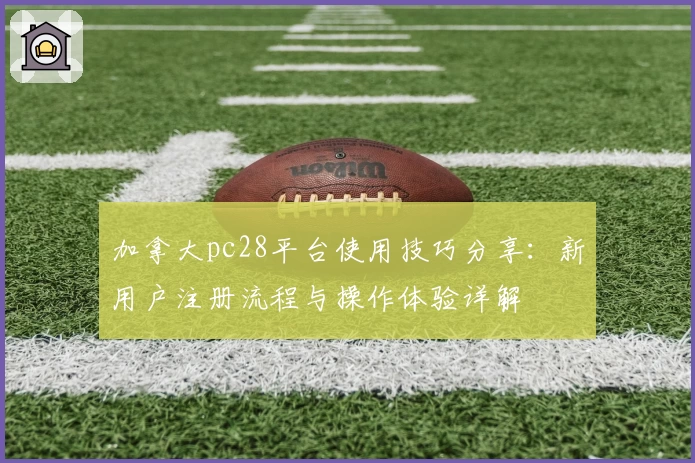 加拿大pc28平台使用技巧分享：新用户注册流程与操作体验详解