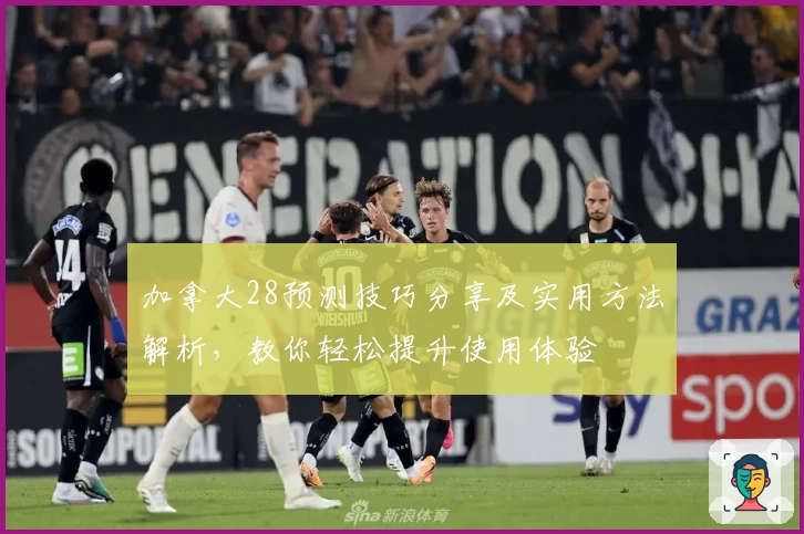 加拿大28预测技巧分享及实用方法解析，教你轻松提升使用体验