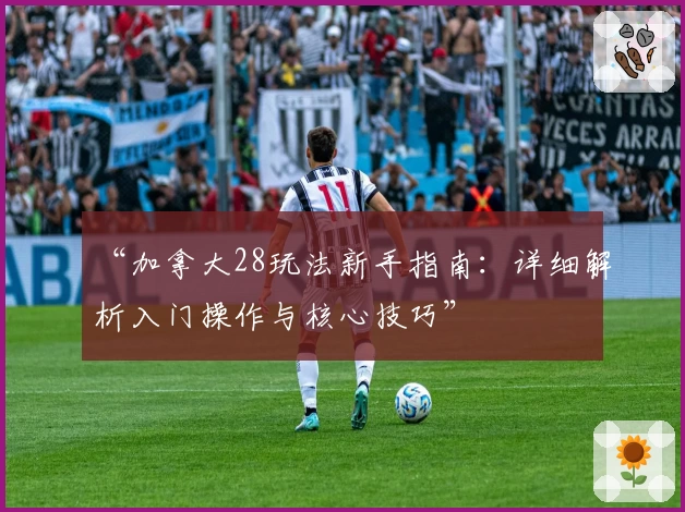 “加拿大28玩法新手指南:详细解析入门操作与核心技巧”