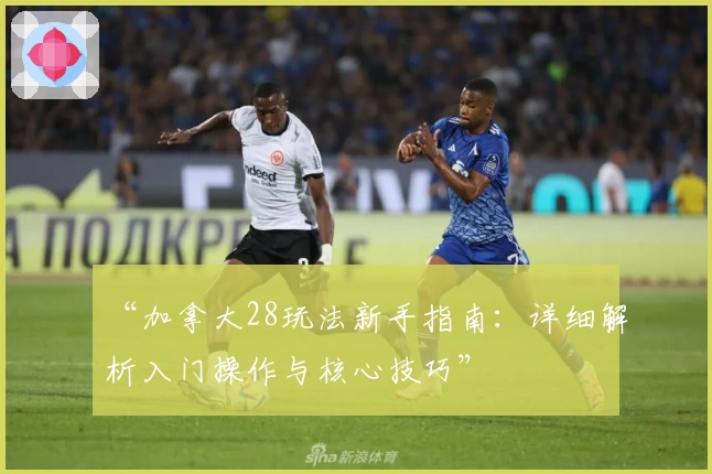 “加拿大28玩法新手指南：详细解析入门操作与核心技巧”