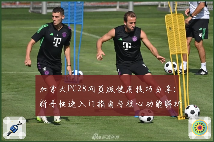 加拿大PC28网页版使用技巧分享：新手快速入门指南与核心功能解析